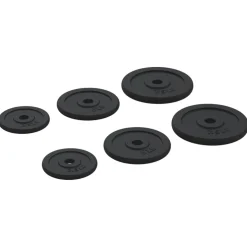vidaXL Halterschijven 6 st 30 kg gietijzer