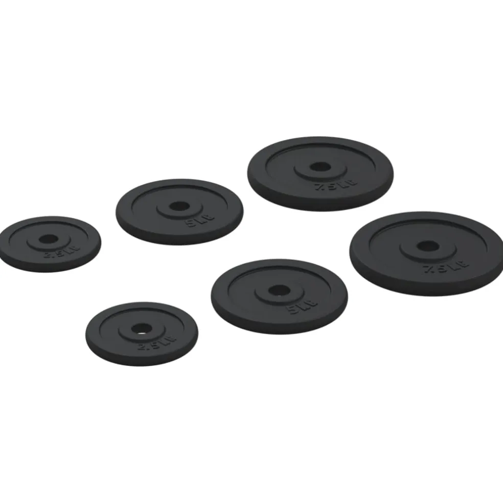 vidaXL Halterschijven 6 st 30 kg gietijzer