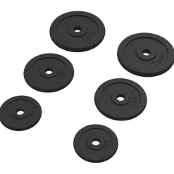 vidaXL Halterschijven 6 st 30 kg gietijzer