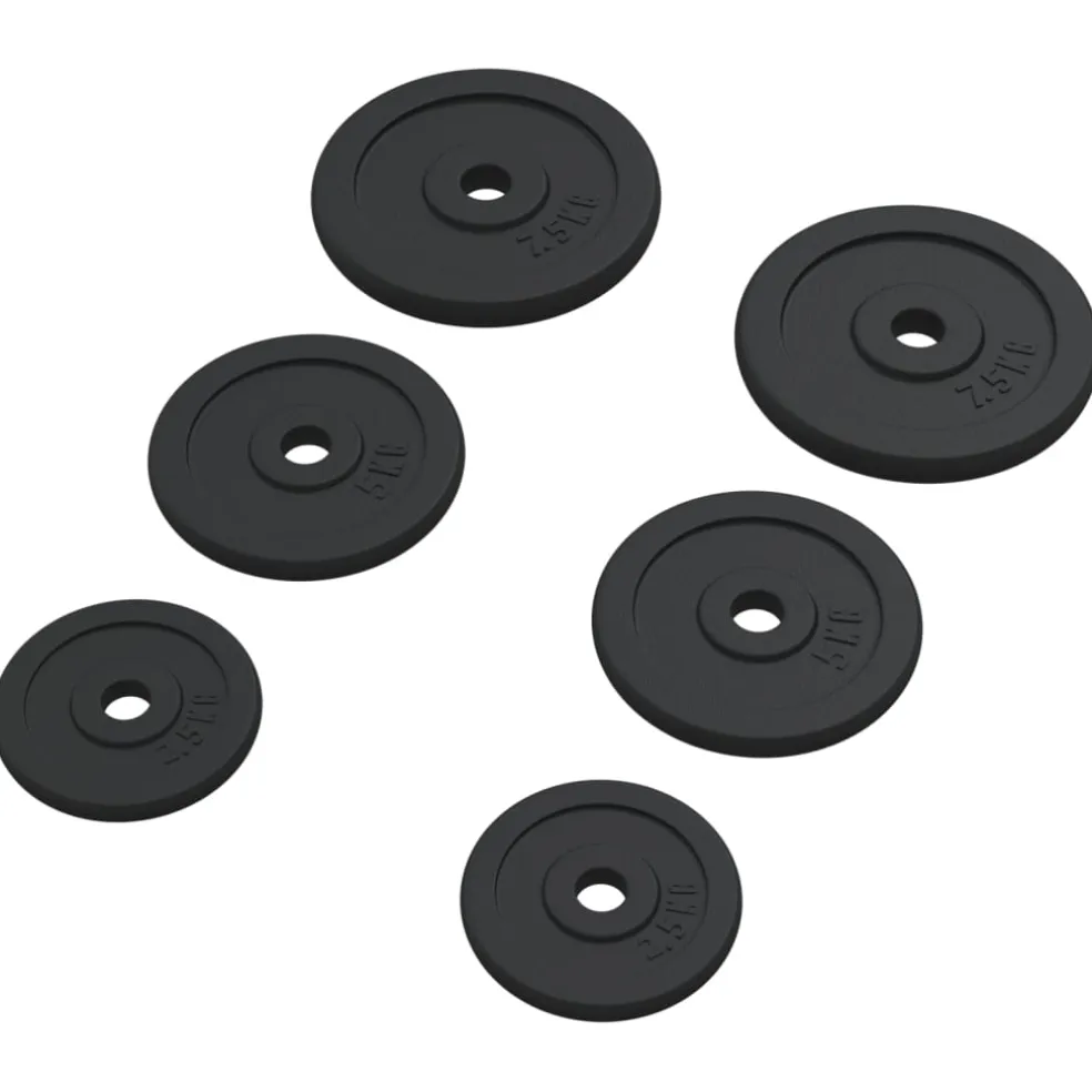 vidaXL Halterschijven 6 st 30 kg gietijzer