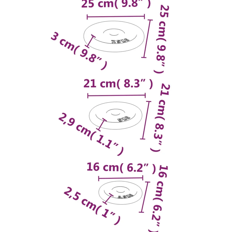 vidaXL Halterschijven 6 st 30 kg gietijzer