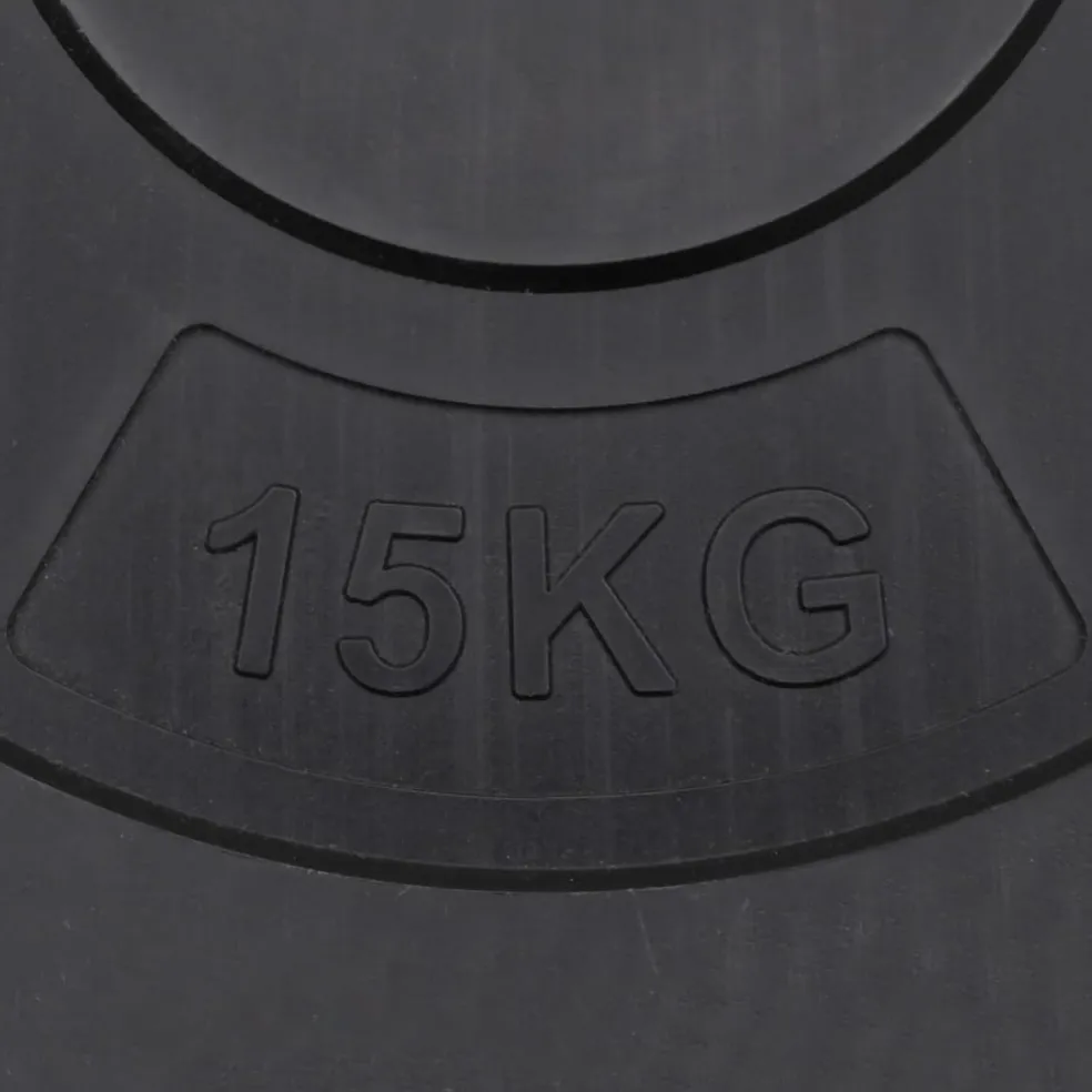 vidaXL Halterschijven 2 stuks 30 kg beton