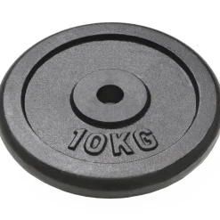vidaXL Halterschijven 2 st 2x10 kg gietijzer