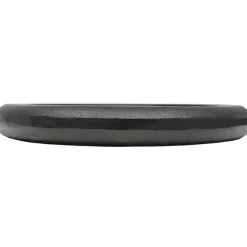 vidaXL Halterschijven 2 st 2x10 kg gietijzer