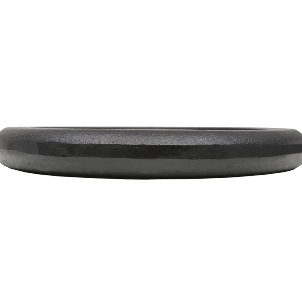 vidaXL Halterschijven 2 st 2x10 kg gietijzer