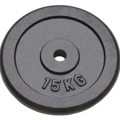 vidaXL Halterschijven 2 st 2x15 kg gietijzer