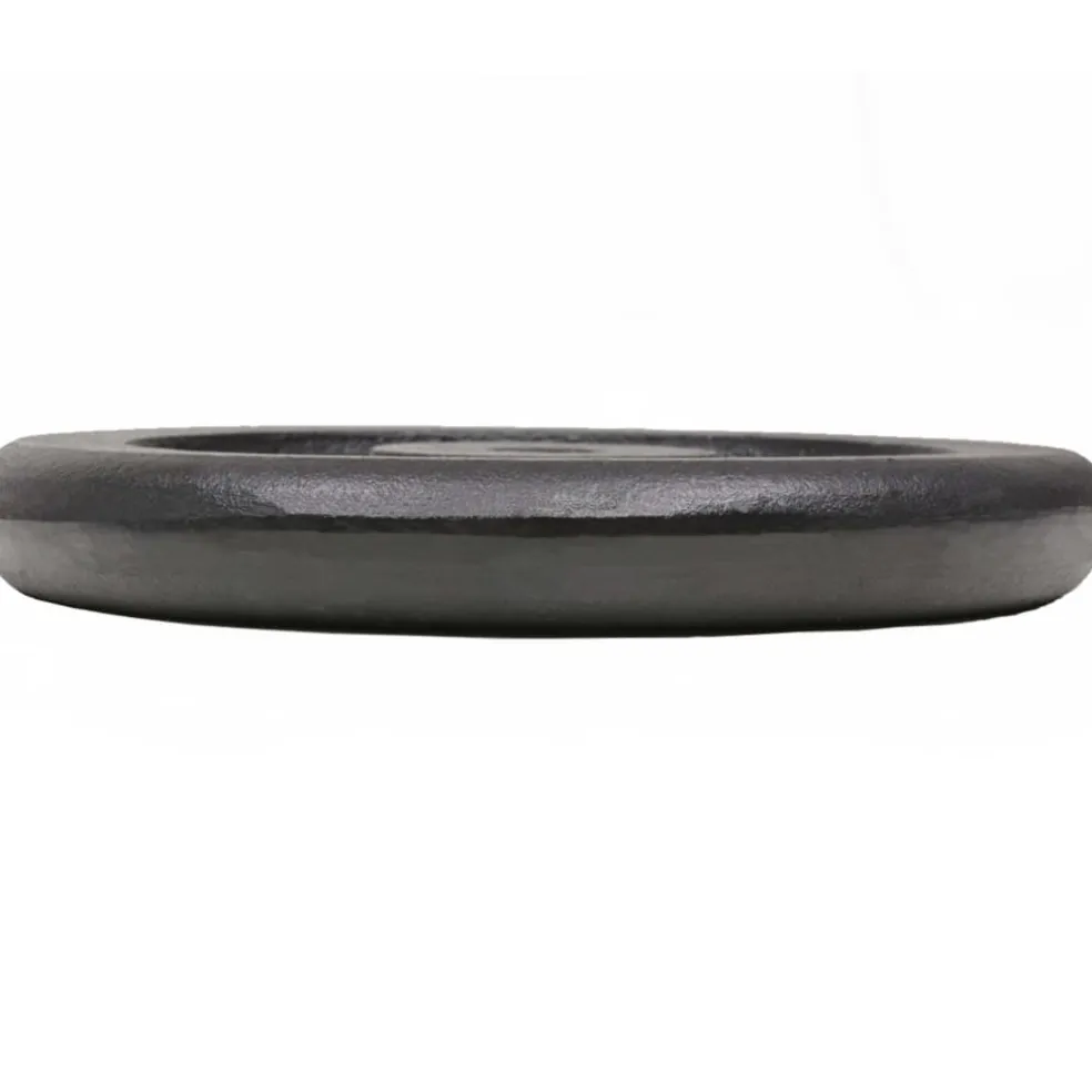 vidaXL Halterschijven 2 st 2x15 kg gietijzer