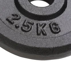 vidaXL Halterschijven 8 st 8x2,5 kg gietijzer