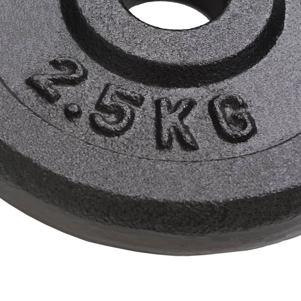 vidaXL Halterschijven 8 st 8x2,5 kg gietijzer