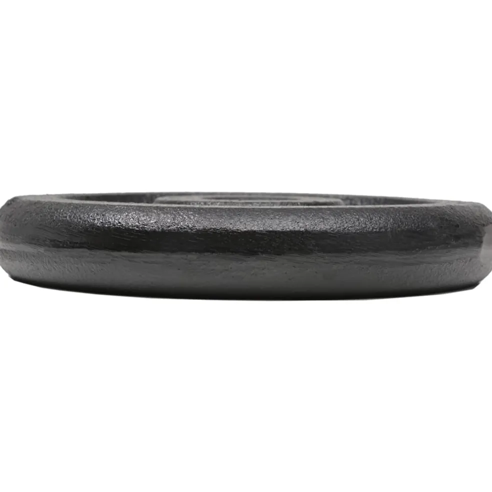 vidaXL Halterschijven 8 st 8x2,5 kg gietijzer