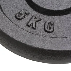 vidaXL Halterschijven 4 st 4x5 kg gietijzer