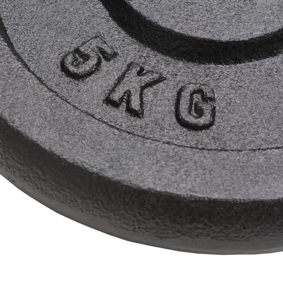 vidaXL Halterschijven 4 st 4x5 kg gietijzer