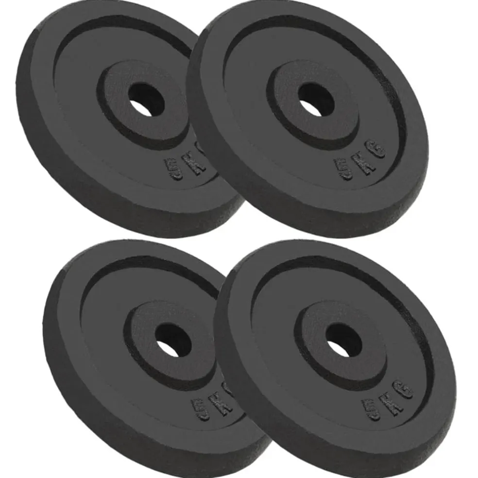 vidaXL Halterschijven 4 st 4x5 kg gietijzer