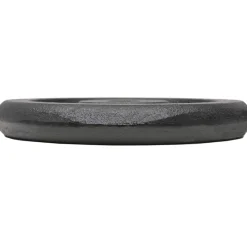 vidaXL Halterschijven 4 st 4x5 kg gietijzer