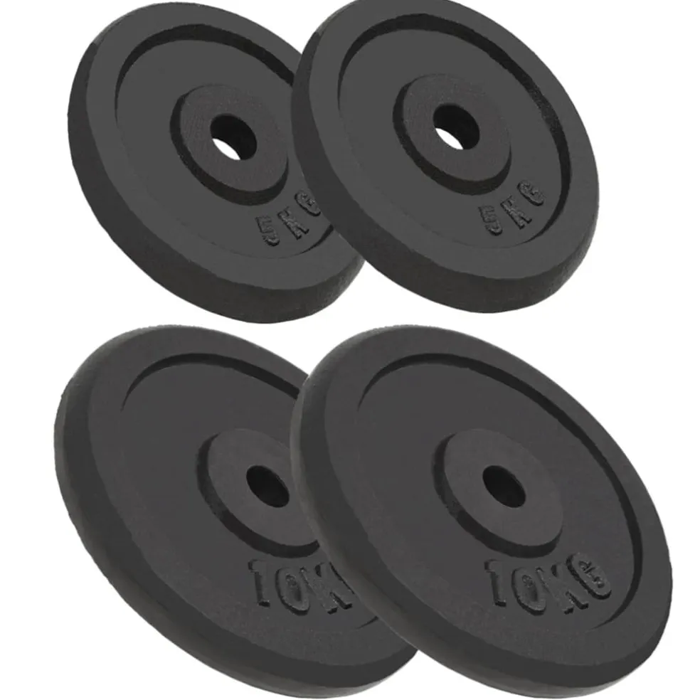 vidaXL Halterschijven 4 st 2x10 kg en 2x5 kg gietijzer