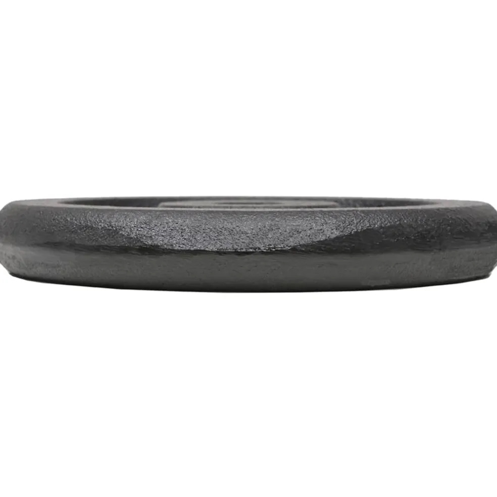 vidaXL Halterschijven 4 st 2x10 kg en 2x5 kg gietijzer