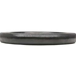 vidaXL Halterschijven 4 st 4x7,5 kg gietijzer