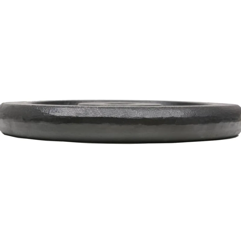 vidaXL Halterschijven 4 st 4x7,5 kg gietijzer