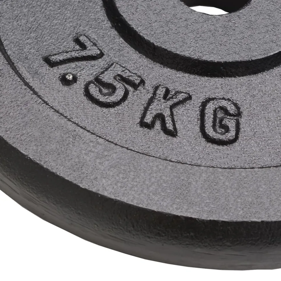 vidaXL Halterschijven 4 st 4x7,5 kg gietijzer