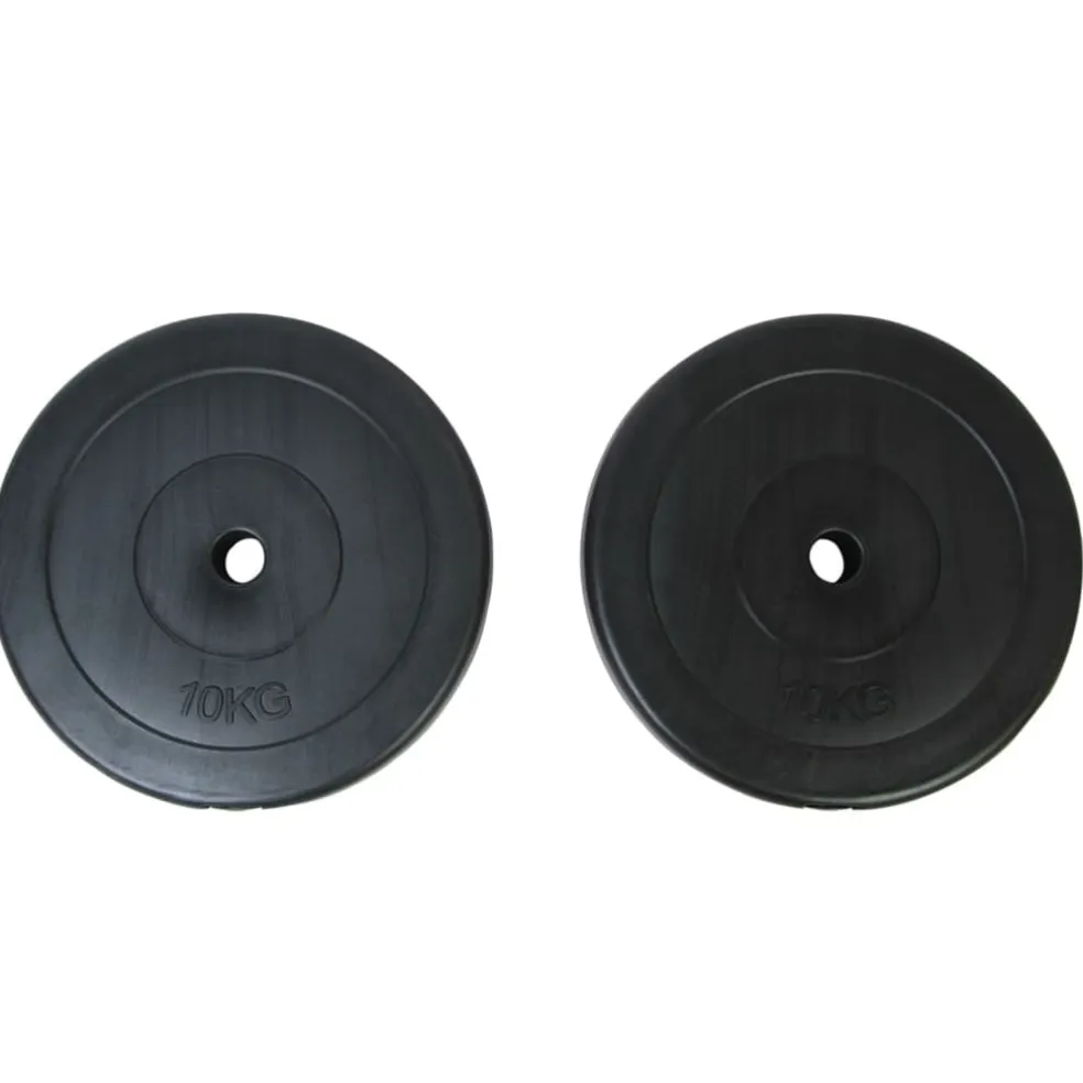 vidaXL Halterschijven 2 x 10 kg