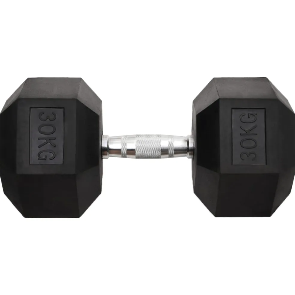 vidaXL Halters 30 kg gietijzer