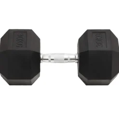 vidaXL Halters 30 kg gietijzer