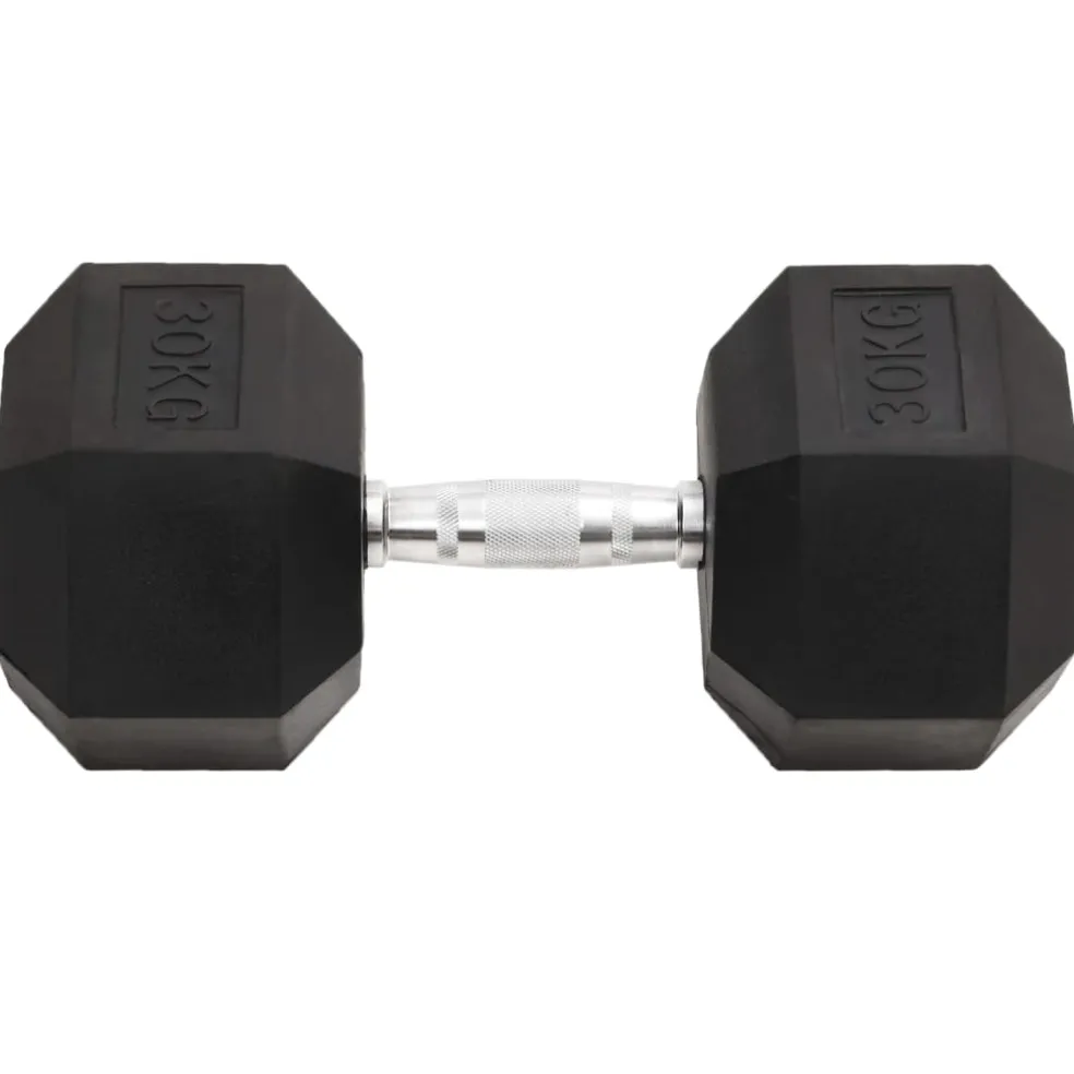 vidaXL Halters 30 kg gietijzer