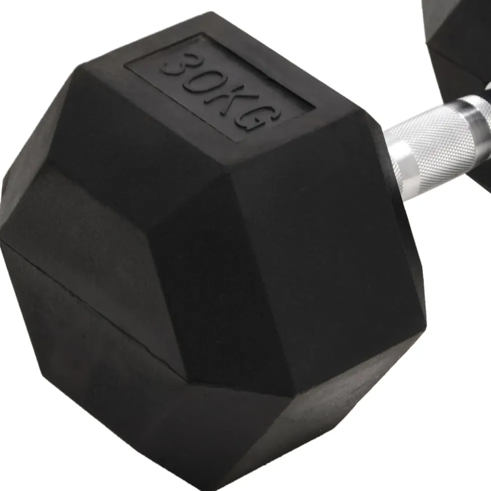vidaXL Halters 30 kg gietijzer