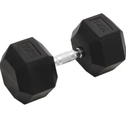 vidaXL Halters 30 kg gietijzer