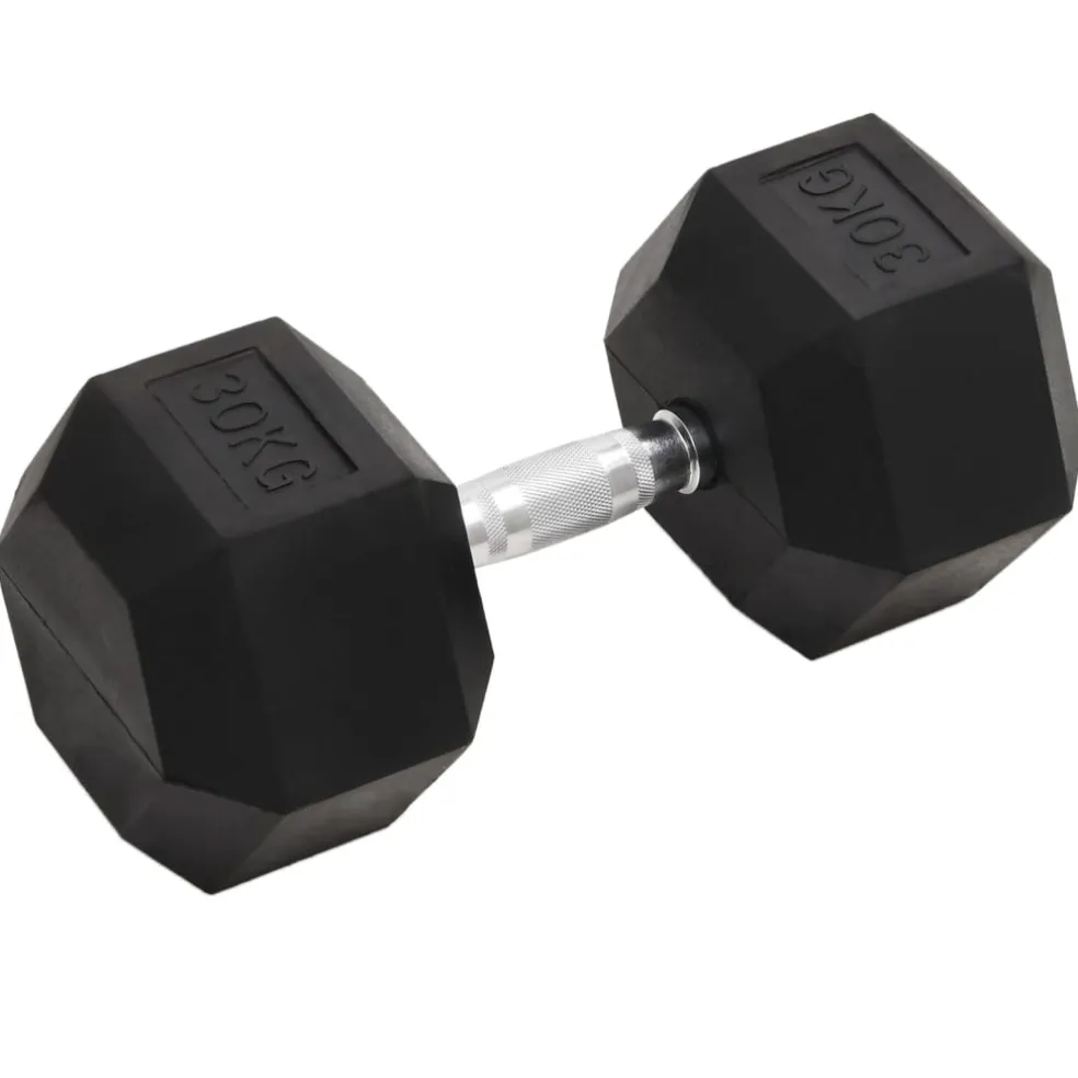 vidaXL Halters 30 kg gietijzer