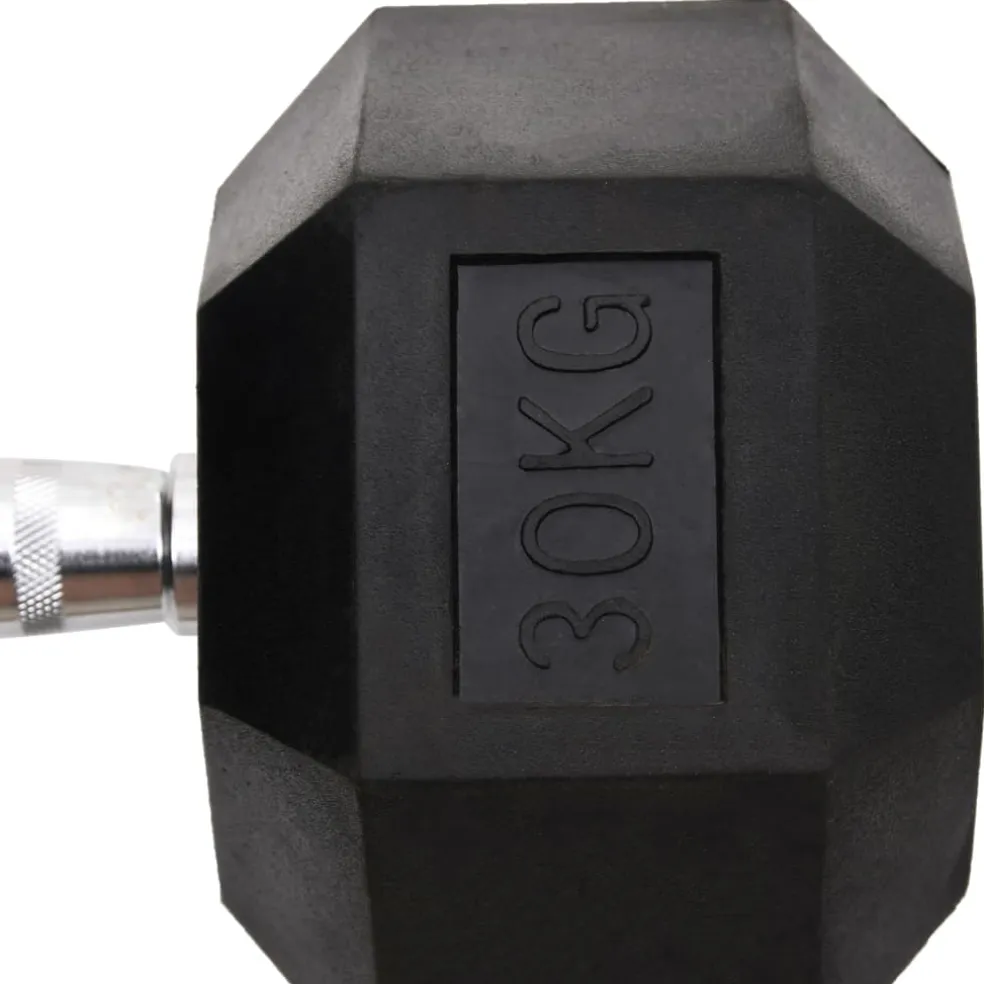 vidaXL Halters 30 kg gietijzer