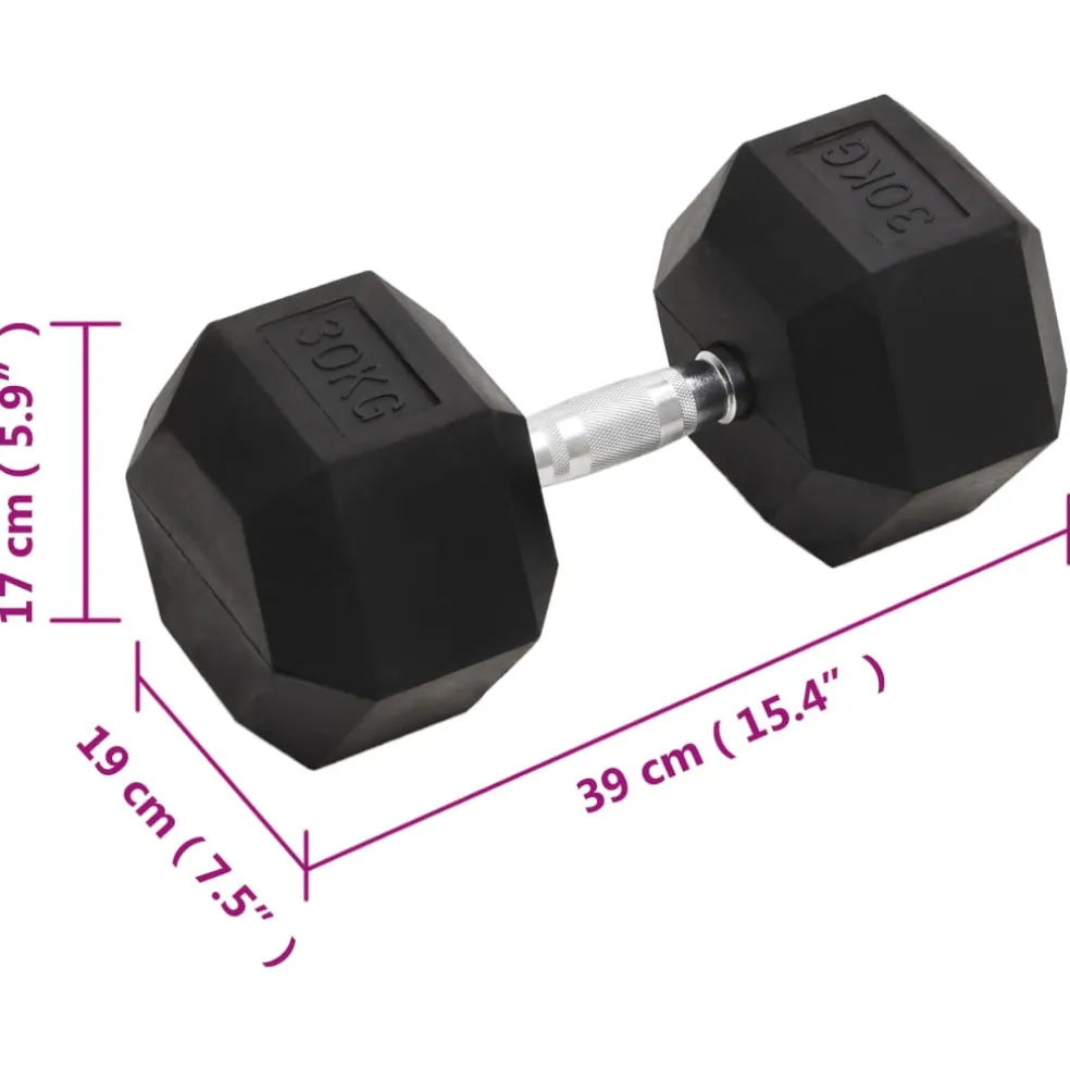 vidaXL Halters 30 kg gietijzer