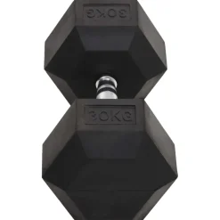 vidaXL Halters 30 kg gietijzer