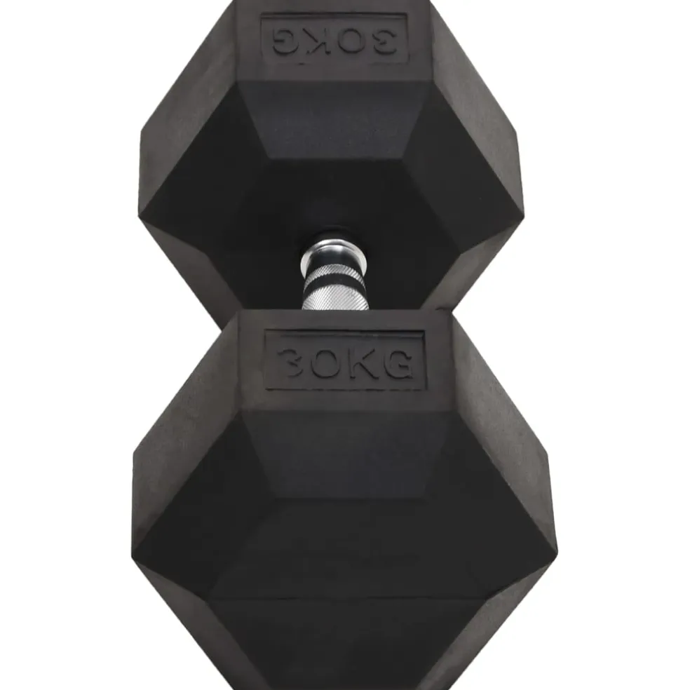 vidaXL Halters 30 kg gietijzer