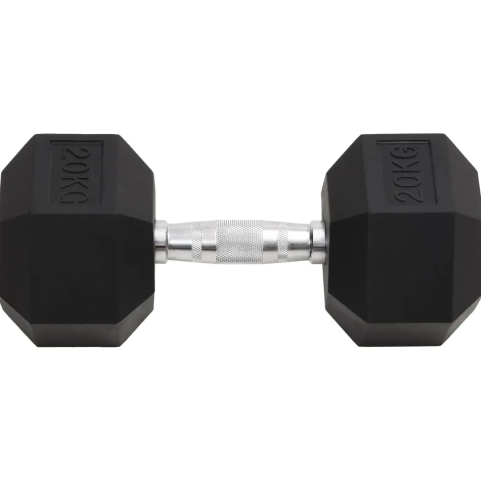 vidaXL Halters 20 kg gietijzer
