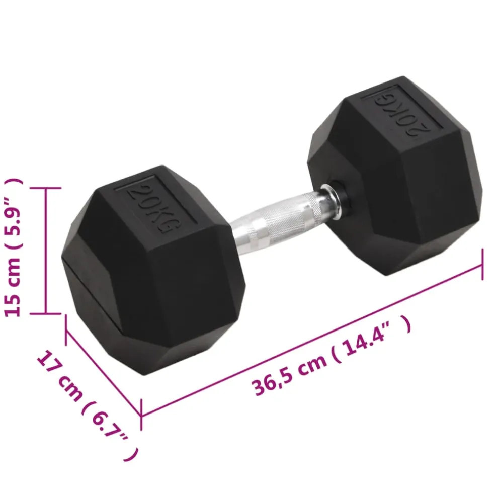 vidaXL Halters 20 kg gietijzer