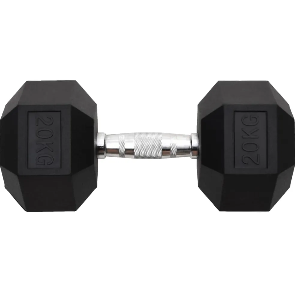 vidaXL Halters 20 kg gietijzer