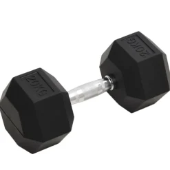 vidaXL Halters 20 kg gietijzer