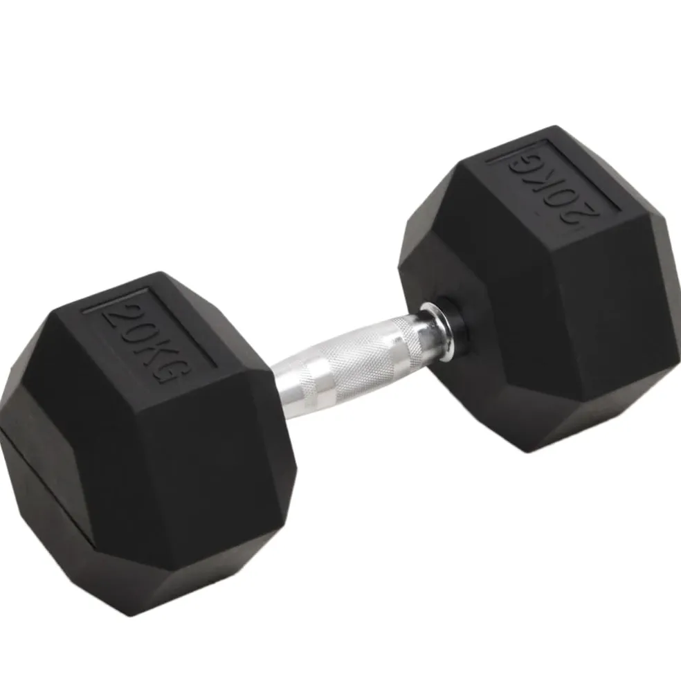 vidaXL Halters 20 kg gietijzer
