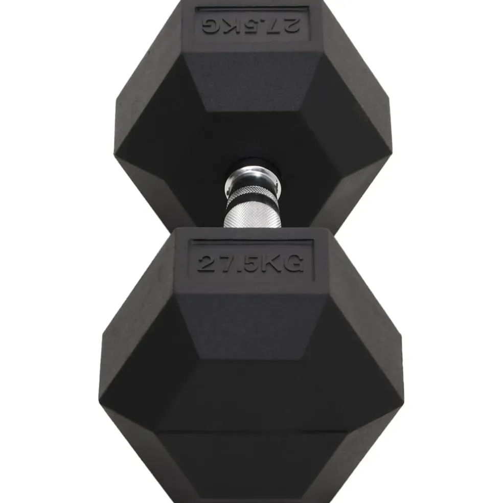 vidaXL Halters 27,5 kg gietijzer