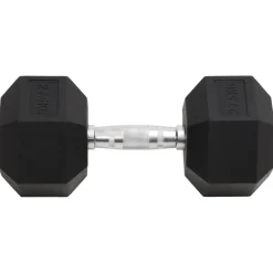 vidaXL Halters 27,5 kg gietijzer