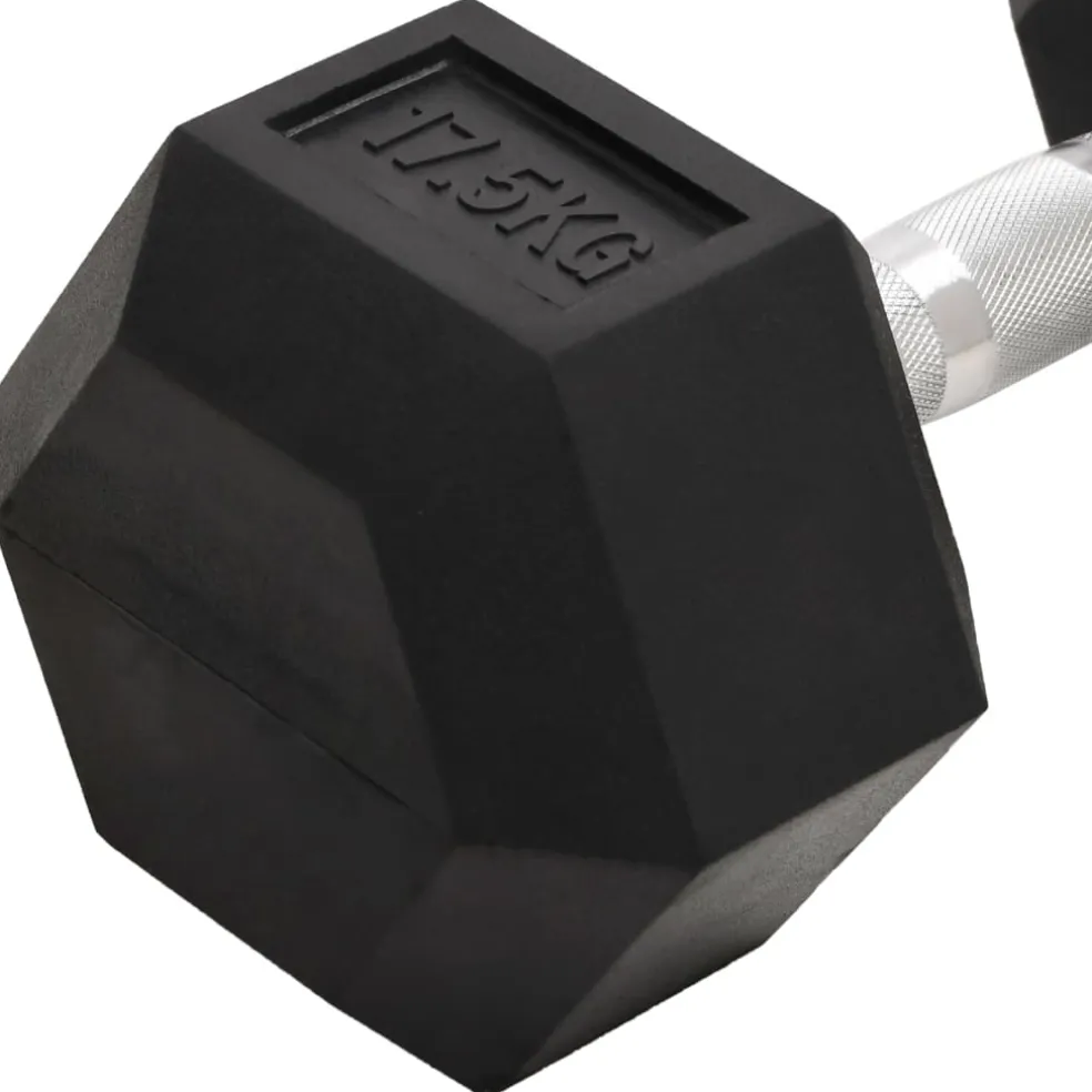 vidaXL Halters 17,5 kg gietijzer