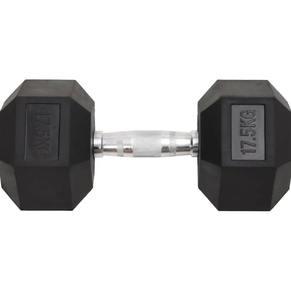 vidaXL Halters 17,5 kg gietijzer