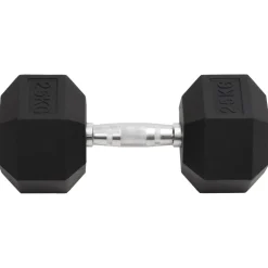 vidaXL Halters 25 kg gietijzer
