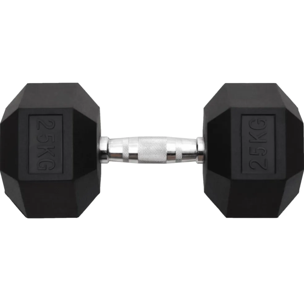 vidaXL Halters 25 kg gietijzer