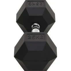 vidaXL Halters 25 kg gietijzer