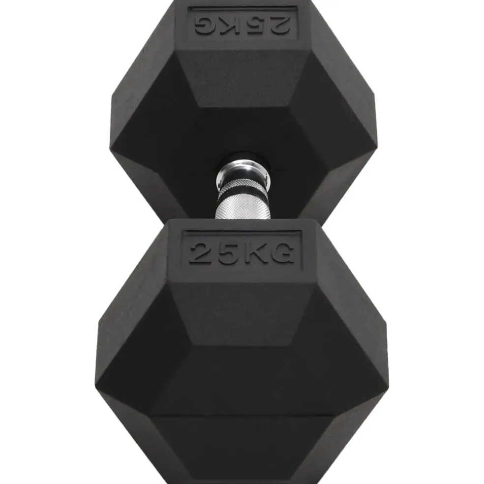 vidaXL Halters 25 kg gietijzer
