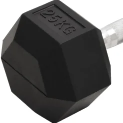 vidaXL Halters 25 kg gietijzer