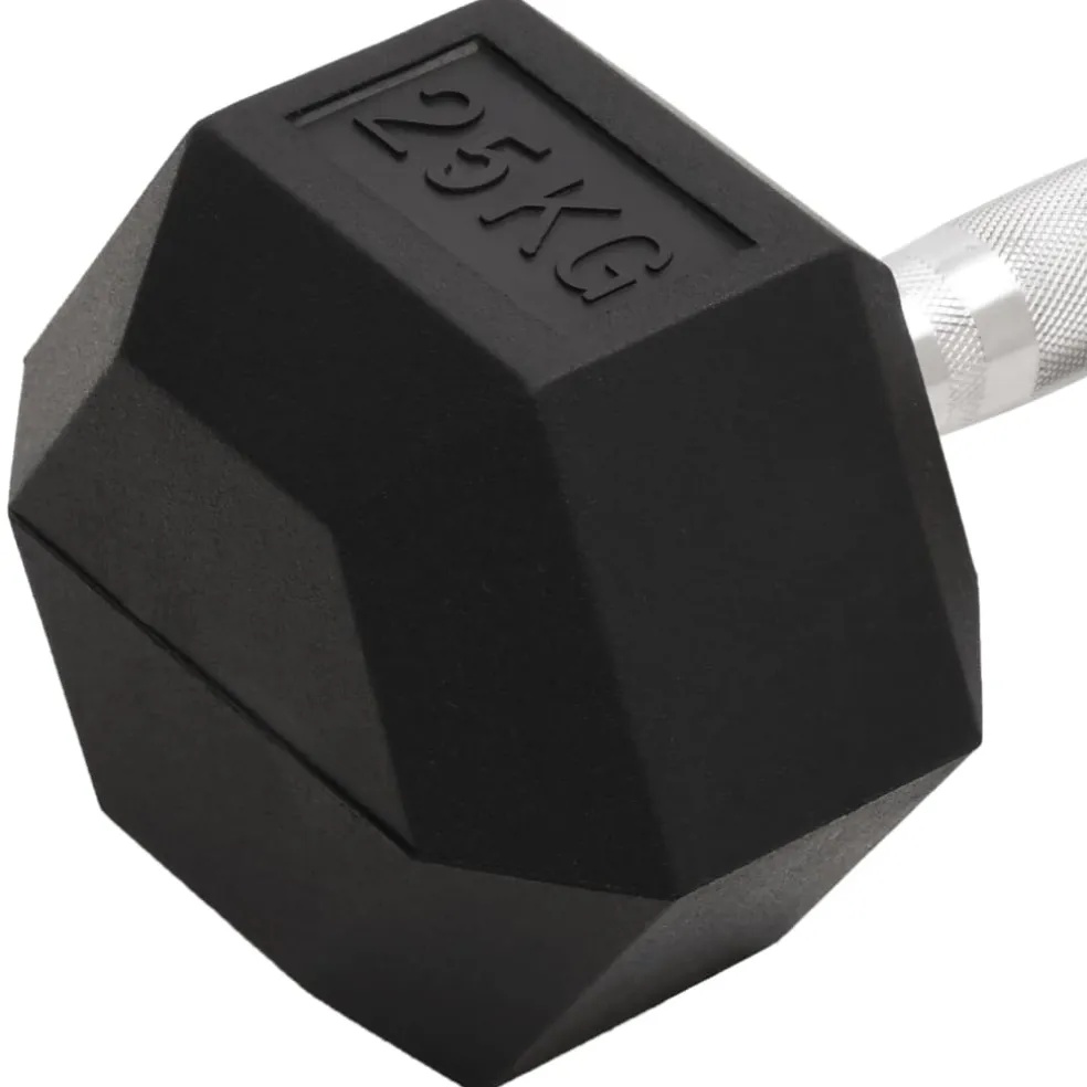 vidaXL Halters 25 kg gietijzer