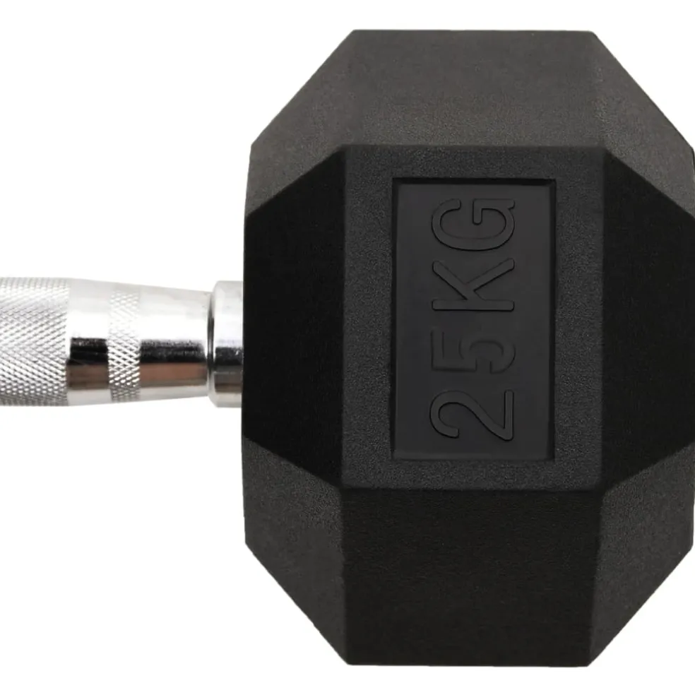 vidaXL Halters 25 kg gietijzer